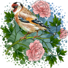 Bunter Vogel