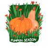 Pumpkin Season – Autumn Harvest Design