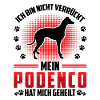 Podenco Heals Me Spanish Greyhound