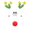The somewhat different Christmas moose - mega funny