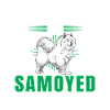 Samoyed is allergic sled dog