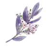 Purple Lavender Floral Pattern