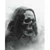 Dark skull in the fog