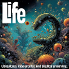 Life Cycle Underwater World Illustration