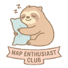 Sleeping raccoon illustration