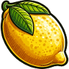 Lemon Natural Illustration
