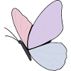 Pastel Butterfly Design