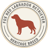 Labrador Retriever Emblem Design