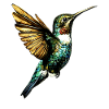 Hummingbird Hummingbird Bird Hummingbirds Cute Hummingbird