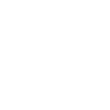 Rat Heart
