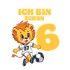 6th Birthday Football Lion