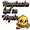 Cute bird motif with saying