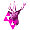 pinker Hirsch