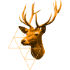 Cerf doré