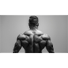 Muscle Power Black Motif