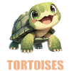 Tortoises Tortoise
