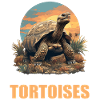 Tortoises Tortoise