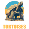 Tortoises Tortoise