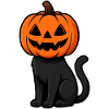 Halloween cat with pumpkin head