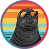 Seal with sunglasses