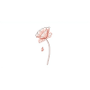 Delicate Flower Dream Line Drawing