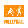 Volleyball Coach Gifts Volleyball Players
