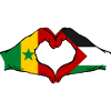 Senegal Palestine Flag Hands Heart Shape