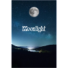 Gentle moonlit night with starry sky