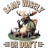 Camp Wisely Moose