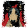 Bull Terrier
