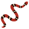Rusty Kingsnake Illustration