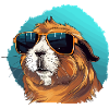 Casual guinea pig with sunglasses