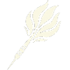 Conception de flamme de fléchette