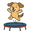 Playful puppy on trampoline