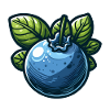 Blueberry Botanical Cartoon