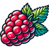 Raspberry vividly illustrated