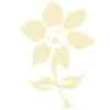Anarchist Flower
