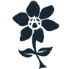 Fleur de l'anarchie