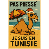 Christmas Camel in Tunisia