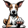 Podenco Podencos Podenco Lovers Podenco Owners