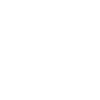 World’s Okayest Genius