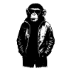 Cool monkey with sunglasses in streetwear