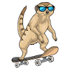 Meerkat Skater Skateboard