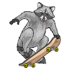 Raccoon Skater Skateboard