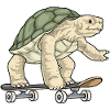 Turtle Skater Skateboard
