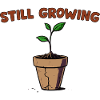 Essential Growing Plant