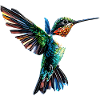 Hummingbird Hummingbird Bird Hummingbirds Cute Hummingbird