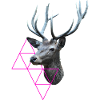 Cerf hipster