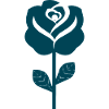 Abstract graphic rose in teal