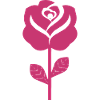Abstract Pink Rose Illustration